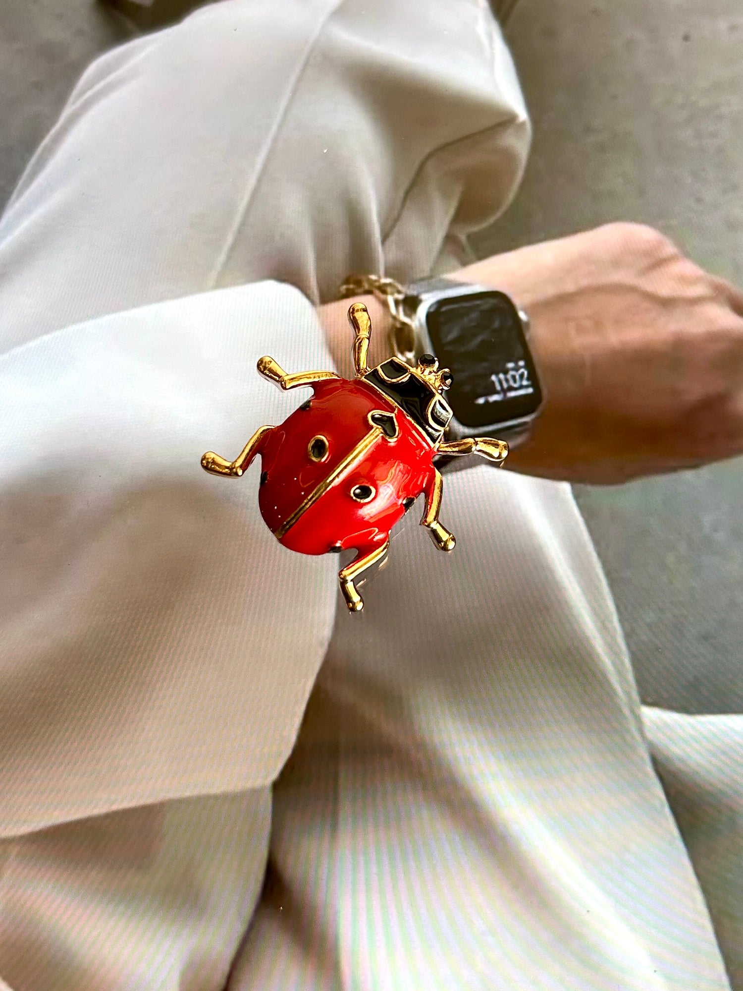 Bug Brooch