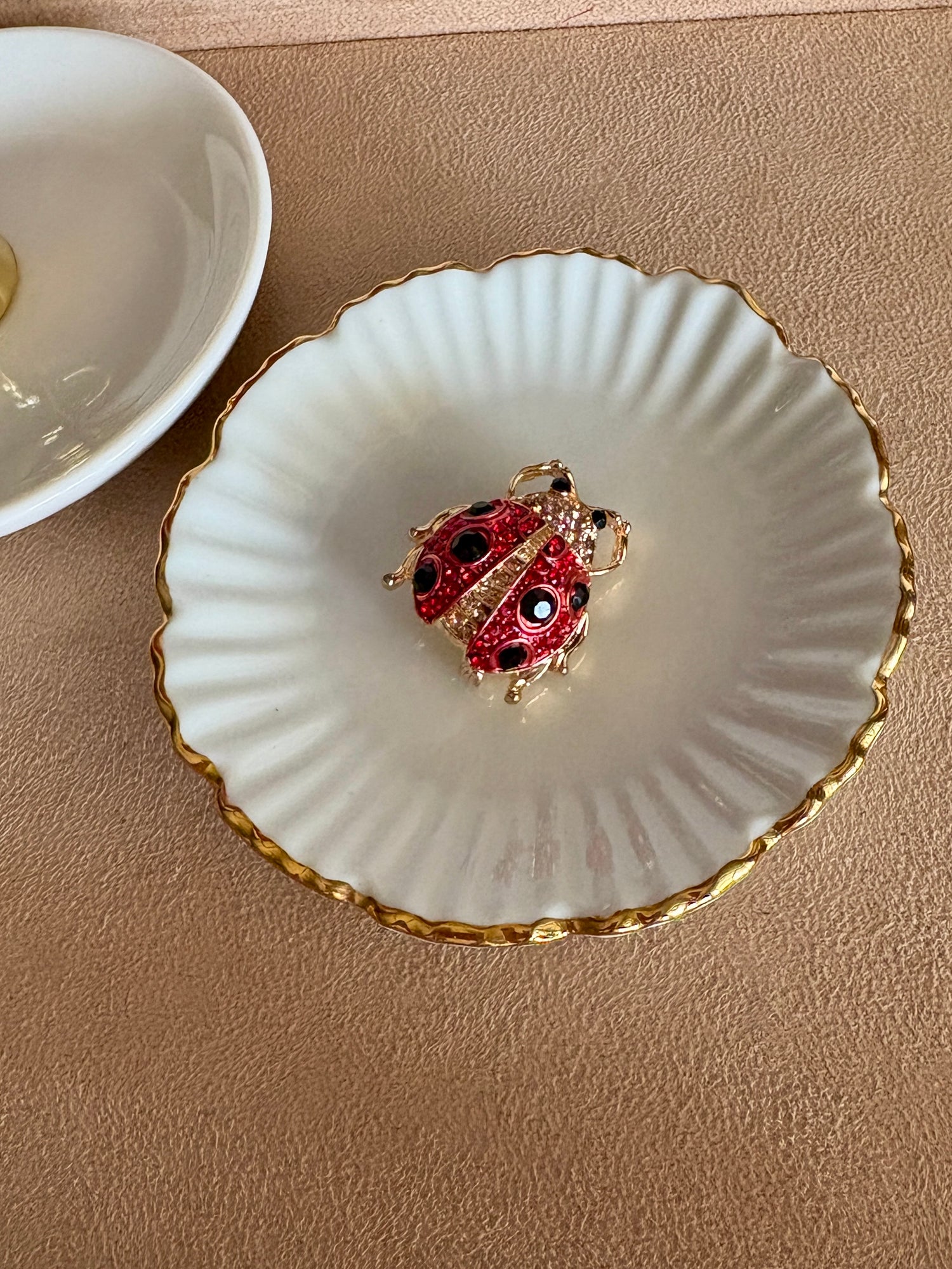 Black Accent Red Studded Bug Brooch